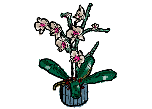 Plants